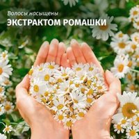 Шампунь Herbal Essences Ромашка 350 мл