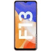 Телефон Samsung Galaxy F13 SM-E135F/DS 4GB/64GB (медный)