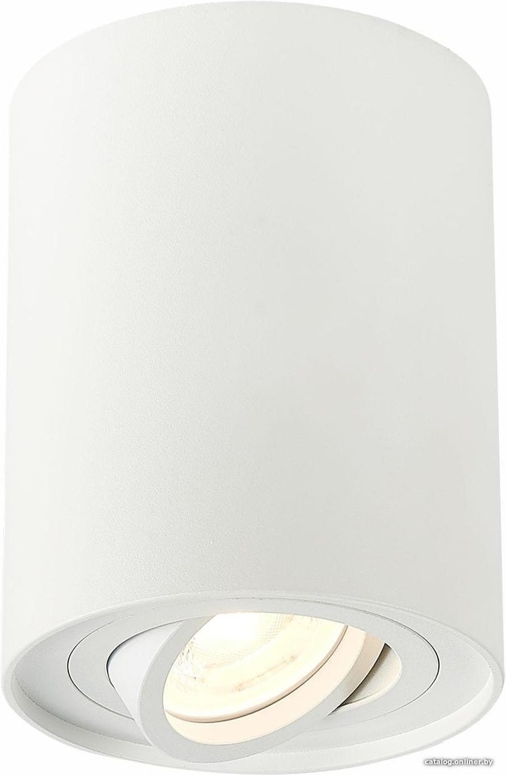 Точечный светильник ST Luce Torus ST108.517.01