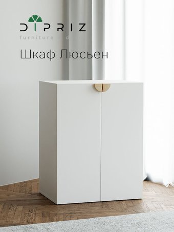 Шкаф распашной Диприз Люсьен 2 дв №1 Д.70173.1 (белый)