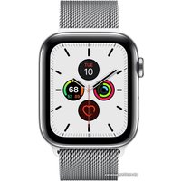 Умные часы Apple Watch Series 5 LTE 44 мм (серебристый/миланский серебристый)