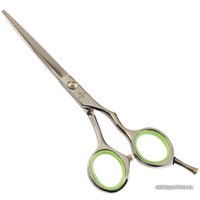 Ножницы парикмахерские Dewal Profi Step 102/5.5