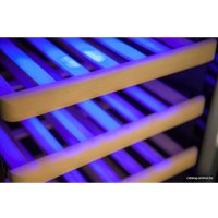 Винный шкаф Cold Vine C38-KSF2