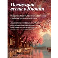 Кондиционер для белья Synergetic Aroma Emotions Счастье (5 л)