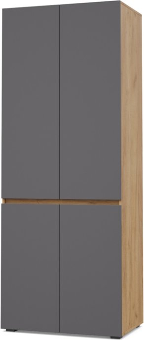 

Шкаф распашной Modern Тифани Т22 (золотистый дуб/графит)