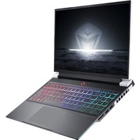 Игровой ноутбук Machenike Light 16 Pro 2023 L16P-i913900HX478Q240HW321BY