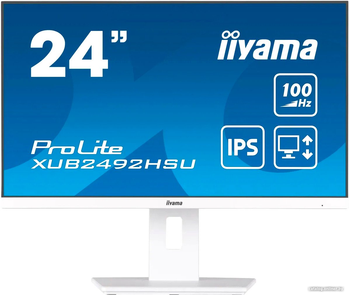 Монитор iiyama ProLite XUB2492HSU-W6