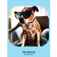 Ошейник Seadog Rose Seagull S