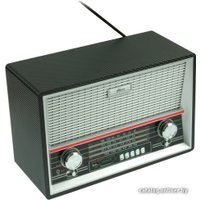 Радиоприемник Ritmix RPR-101 (черный)