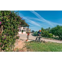 Аккумуляторная пила Husqvarna 120i KIT (с АКБ 4 Ah) 967 09 82-02