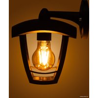 Уличный настенный светильник TDM Electric SQ0330-1302