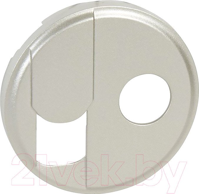 Накладка для TV розетки Legrand Celiane 68539 (титан)