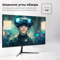 Игровой монитор Evolution GX24iC IPS