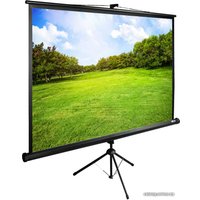 Проекционный экран CACTUS TriExpert 220x165 CS-PSTE-220х165-BK