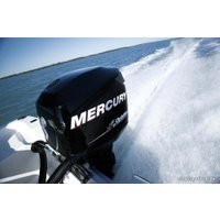 Лодочный мотор Mercury 15 M