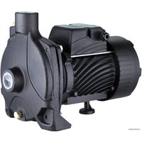Центробежный насос Pumpman TCP170