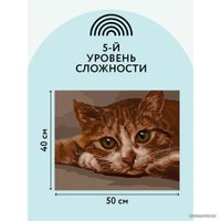 Картина по номерам Три совы Рыжик КХ_44173