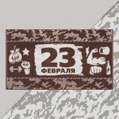 23 февраля 7166937 (коричневый)