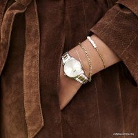 Наручные часы Cluse Feroce CW11207