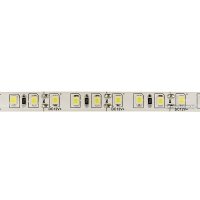 Светодиодная лента Neon-Night 141-365