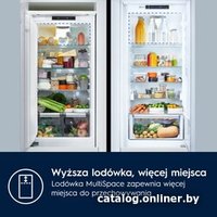 Холодильник Electrolux GreenZone 700 CustomFlex ENP7MD19S