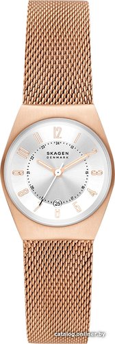 Наручные часы Skagen Grenen Lille SKW3035