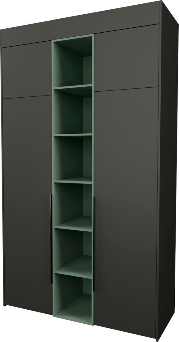 

Шкаф распашной Рэйгрупп Рэй S257-В5-WKZ В5 (дуб веллингтон/кобальт/зеленый самшит)