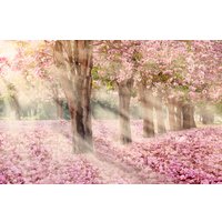 Фотообои Citydecor Сказочная природа 5 400x260