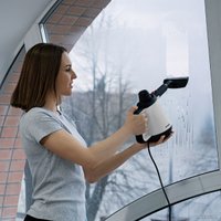 Пароочиститель Bort BDR-2800-RR