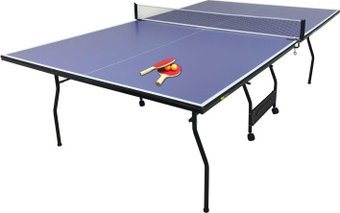 Теннисный стол Central Sport Indoor Flick (синий)