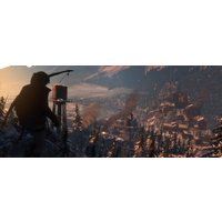 Компьютерная игра PC Rise of the Tomb Raider
