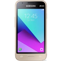 Смартфон Samsung J1 Mini Prime 2016 (золотистый) [J106F/DS]