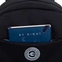 Школьный рюкзак Grizzly RG-464-3f (черный/серебряный)