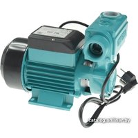 Самовсасывающий насос Greenpump WZ 250