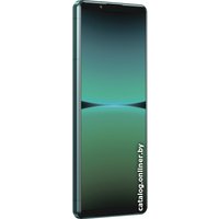 Телефон Sony Xperia 5 IV 8GB/256GB (зеленый)