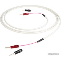 Кабель Chord RumourX