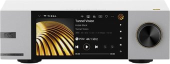 Сетевой проигрыватель Eversolo DMP-A6 Master Edition Gen 2 (серебристый)