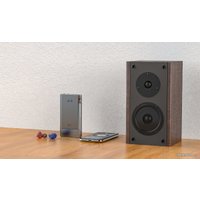 Портативный усилитель FiiO Q5s