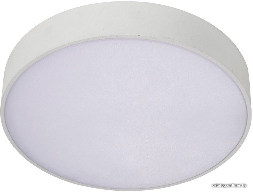 Светильник-тарелка Aployt Evon APL.0113.09.18