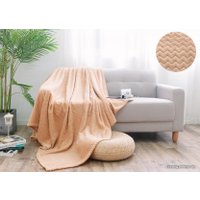 Плед Альвитек Soft Plush 200x220 200-SP011