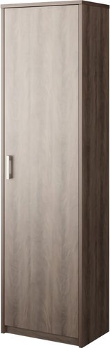 Шкаф распашной Программа Техно Арго А-308 (лагос)