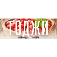 Сухой корм для собак Деревенские лакомства Холистик Премьер. Говядина с рисом 2 кг