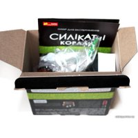 Набор для опытов Ranok-Creative Силикатные кораллы 12132096У
