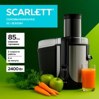 Соковыжималка Scarlett SC-JE50S61 в Бресте