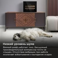 Винный шкаф MAUNFELD MBWC-62S28