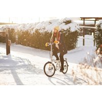 Велосипед Shulz Easy Disk 2025 (белый) в Витебске