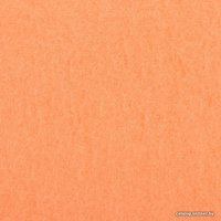 Плед Экономь и Я 7584262 150x200 (коралловый, 160 г/м2)