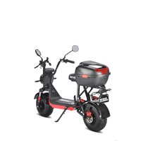 Электроскутер White Siberia Mini R 2.0 1200W (черный) в Гродно