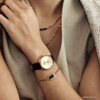 Наручные часы Cluse Feroce CW11209