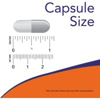 Цитруллин Now Foods L-Citrulline 750 мг (90 капсул) в Солигорске